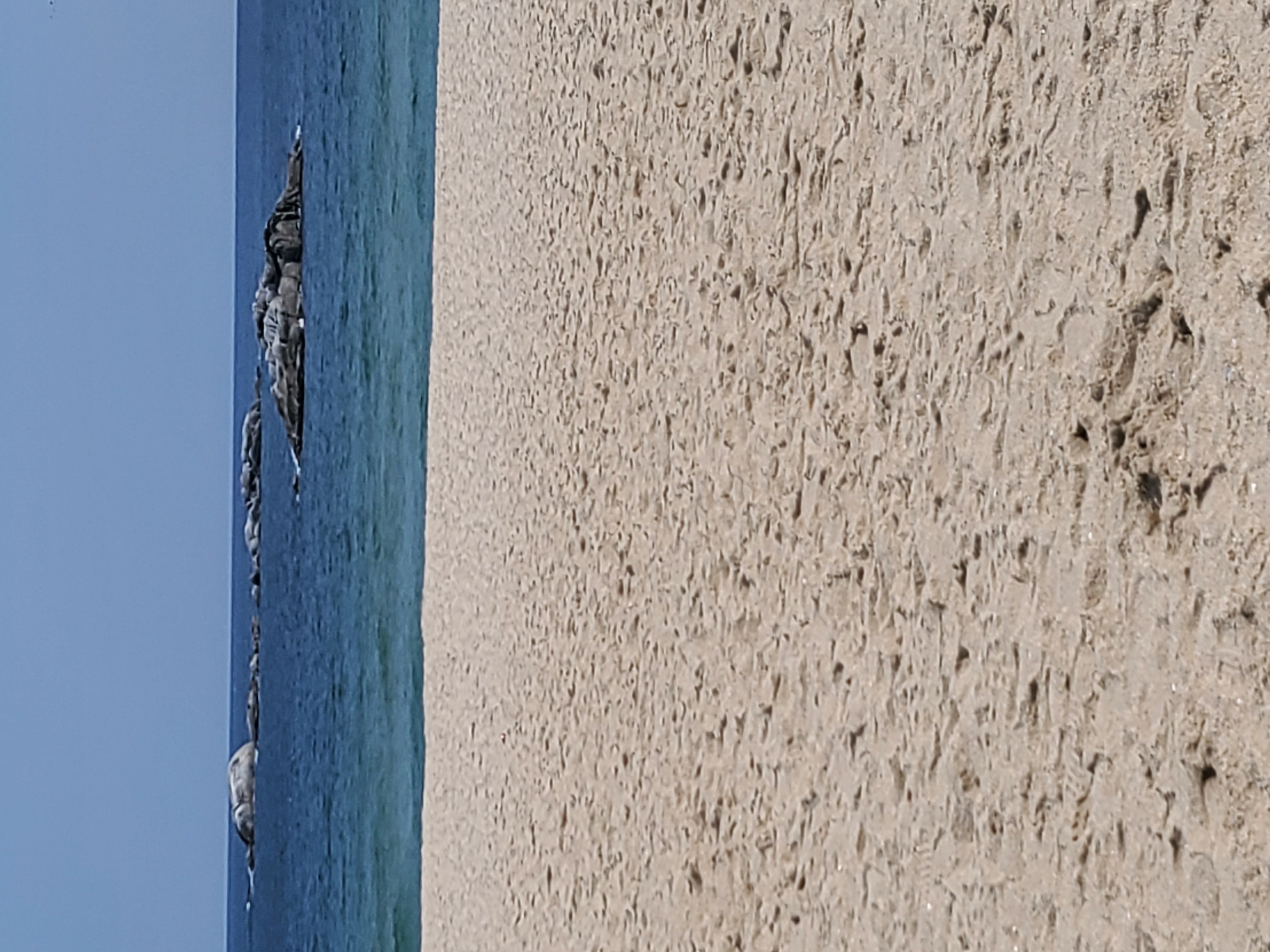 나의 연애 고백 성공 확률