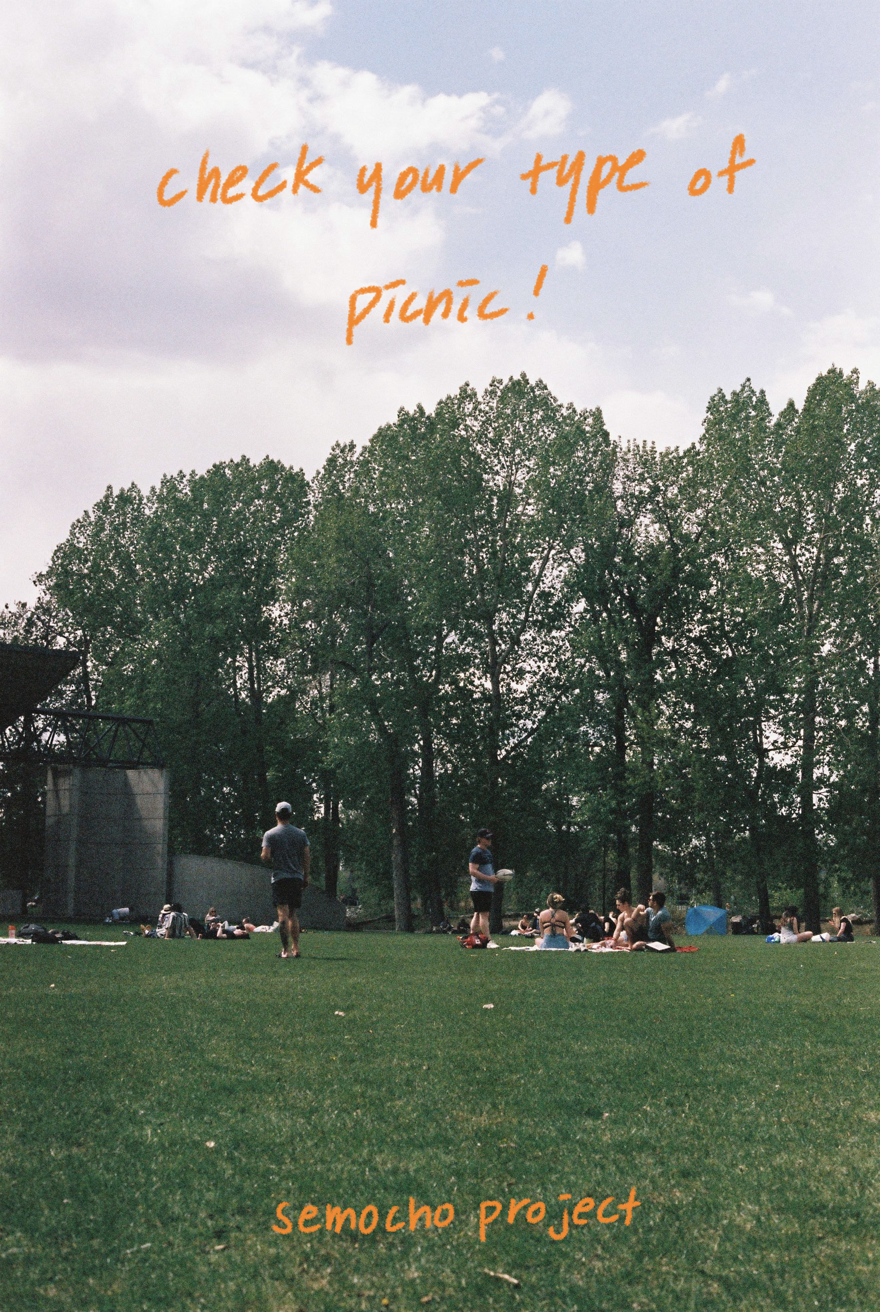 Check your type of picnic !